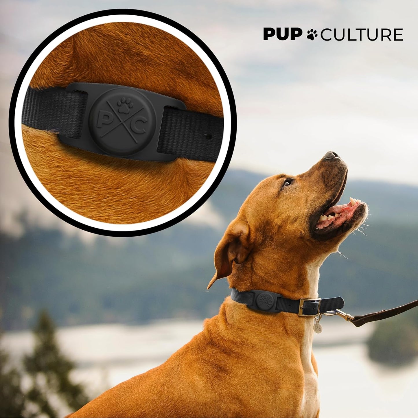 Airtag-Compatible Dog Collar | Durable and Protective Holder for Tracking Pets with Apple Airtag Technology - Suitable for Dogs and Cats